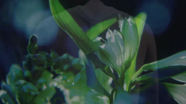 In Her Nature — Romantic & Cinematic, Arthouse, Cinematic scene by Erika Lust